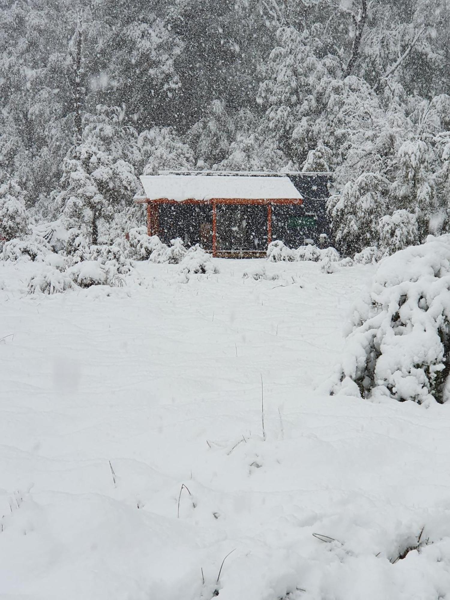 Tiny House 2 A 3 Per Wifi Satelital * Malalcahuello